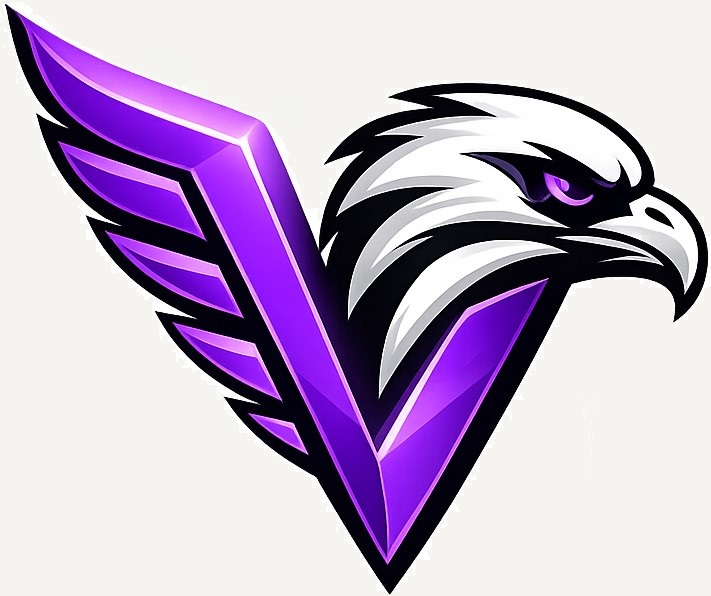 Viral Vulture company logo.